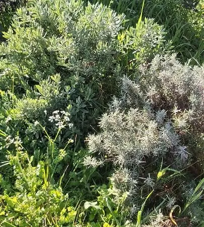 House For Rent 別荘 *