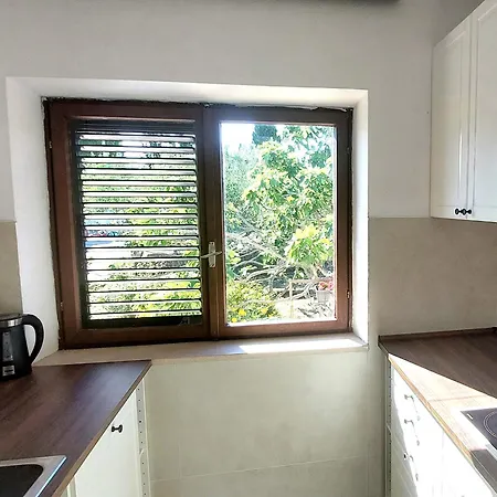 House For Rent *